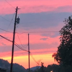 Meet your Posher, Raegan